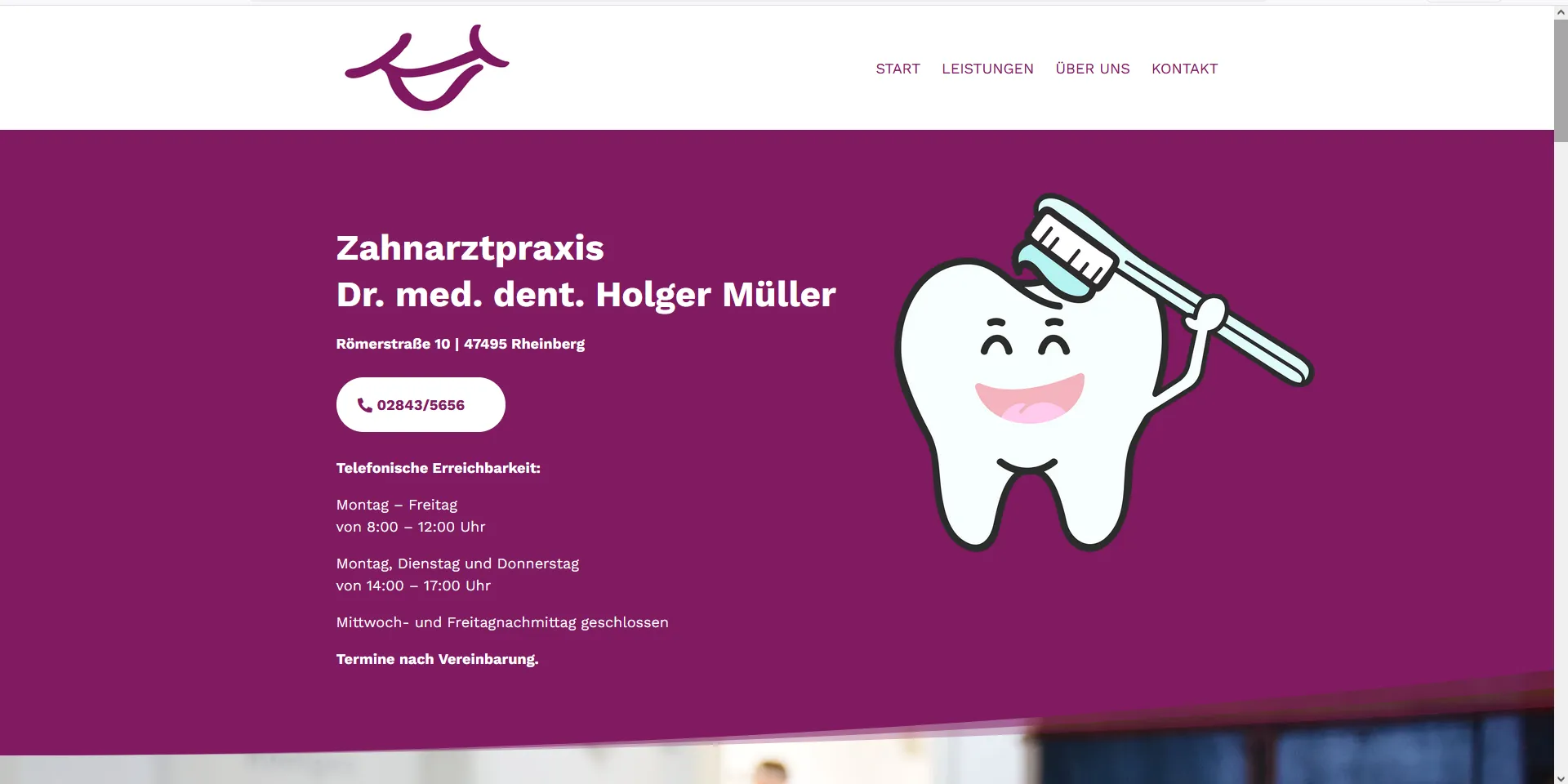 Internetseite in frischem grün mit niedlichen Katzenfotos für eine Katzenpension in Egelsbach